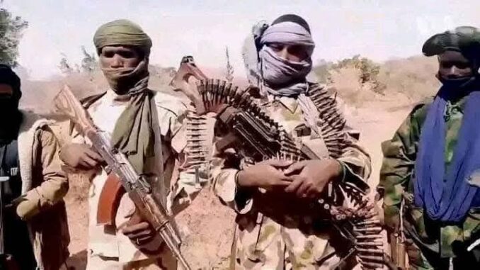 How Notorious Bandit Leader, Shekau Killed in Kaduna Ambush