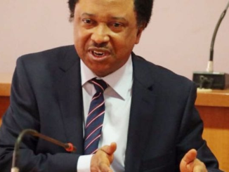 ‘It’s total madness’, Shehu Sani Reacts To Propose N942bn 2025 Census Budget, Applause Tinubu For Rejecting It