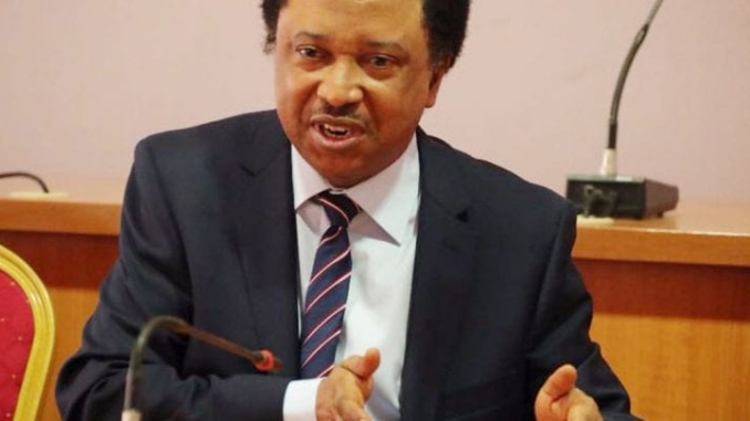 ‘It’s total madness’, Shehu Sani Reacts To Propose N942bn 2025 Census Budget, Applause Tinubu For Rejecting It