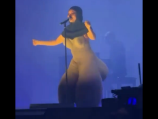 Women In Music Awards: Singer Erykah Badu Mocks BBL Ladies Over Controversial Outfit