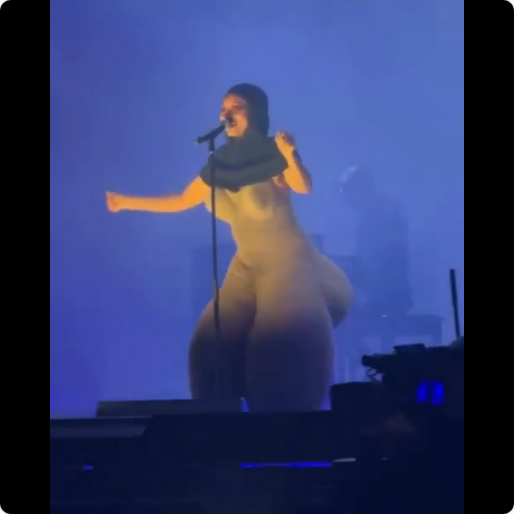 Women In Music Awards: Singer Erykah Badu Mocks BBL Ladies Over Controversial Outfit