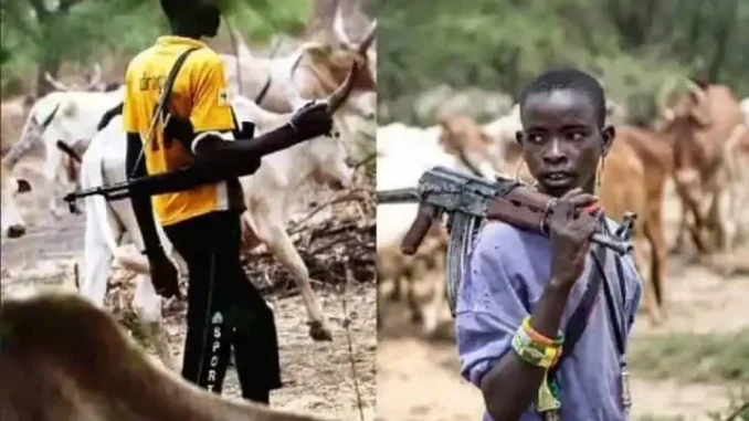 Tension As Herdsmen Invaded Kill 20 In Ondo Communities At Night Invasion Tension As Herdsmen Invaded Kill 20 In Ondo Communities At Night Invasion