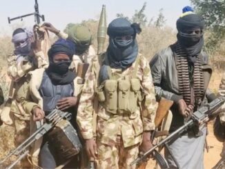 Security Forces Foil Kidnapping Attempt, Rescue 10 Victims in Katsina State