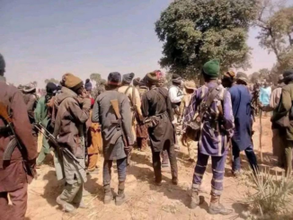 Plateau: "When Will Enough Be Enough of This ‘Targeted Annihilation'?"- Group Reacts To Recent Attack On Bokkos Residents