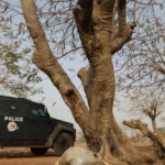Police Raid Kidnappers’ Hideout in Niger: One Dead, Seven Victims Freed