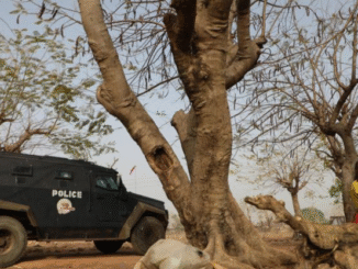 Police Raid Kidnappers’ Hideout in Niger: One Dead, Seven Victims Freed