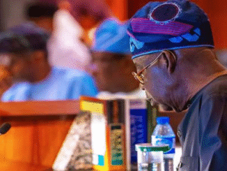 APC Chieftain Defends Tinubu: ‘He Deserves Praise, Not Criticism