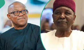 Screenshot 2025-05-08 at 21-27-29 'It’ll be detrimental' — Jonathan Gowon Peter Obi condemn moves toward one-party state in Nigeria Jonathan, Gowon, and Peter Obi Speak Out Against One-Party State, Call It Dangerous for Nigeria
