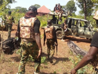 Boko Haram Kills Army Captain, Emir Speaks Out as More Details Surface