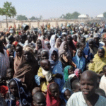 FG Starts Repatriation of Nigerians Trapped in Cameroon, Chad, and Niger