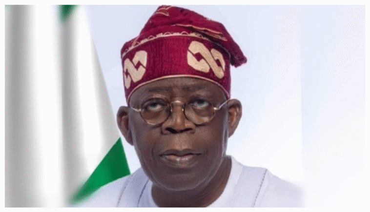 BREAKING: Tinubu Makes Fresh Appointments For Federal Varsities, Polytechnics, Colleges