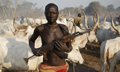 JUST-IN: Fulani Militants Kill Two Farmers In Benue