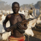 JUST-IN: Fulani Militants Kill Two Farmers In Benue