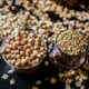 Here’s Why Grains Are Good For You