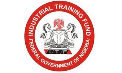Industrial Training Fund (ITF) Warns Organisations Against Rejecting IT Students