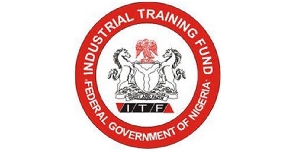Industrial Training Fund (ITF) Warns Organisations Against Rejecting IT Students