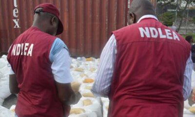 NDLEA: Saudi Arabia Frees Nigerian Pilgrims Detained Over Alleged Drug Trafficking