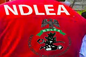NDLEA: Viral Photos Not Of Nigerians Freed By Saudi Arabia