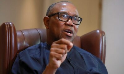 Gbadebo Rhodes-Vivour Says,'I informed Peter Obi before dumping Labour Party for ADC'