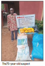 Grandpa, Others Apprehended As NDLEA Destroys 178,000kg Skunk In Taraba Farm