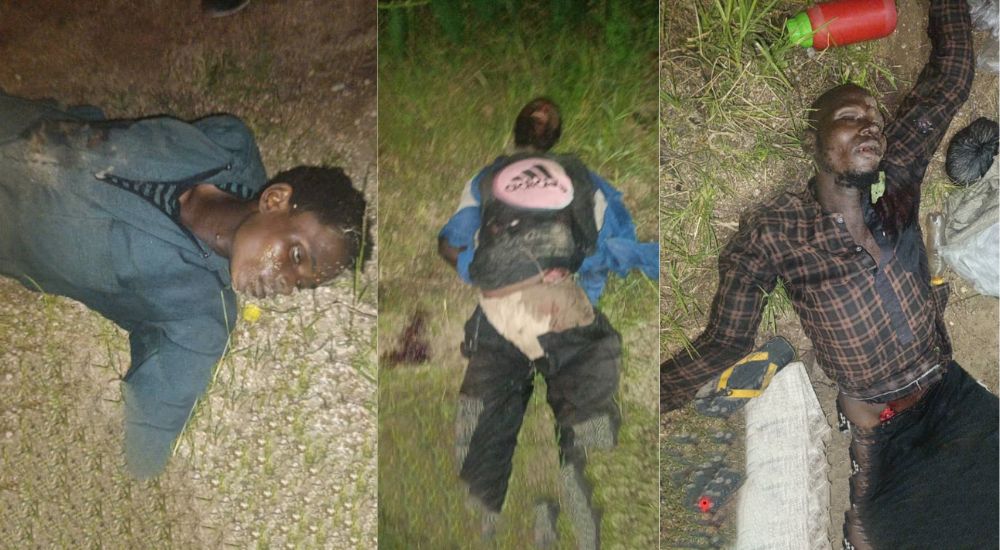 PHOTOS: Nigeria Troops Killed 11 Suspected Terrorists In Borno, Adamawa