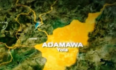 JUST-IN: 200 Land Racketeers Jailed In Adamawa