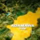 JUST-IN: 200 Land Racketeers Jailed In Adamawa