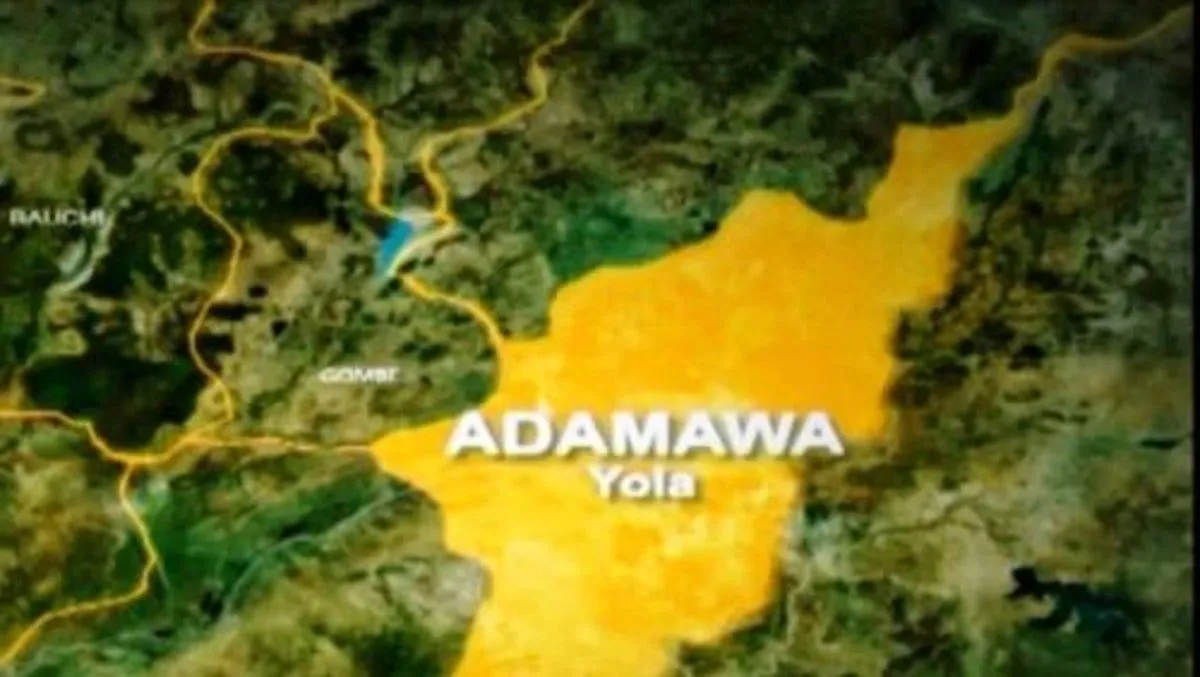 JUST-IN: 200 Land Racketeers Jailed In Adamawa