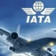 IATA: African Airlines At Crossroads, 80% Of Routes Unserved