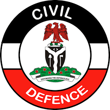 JUST-IN: Civil Defence Corps Arrest 28-year-old Fraudster In Adamawa