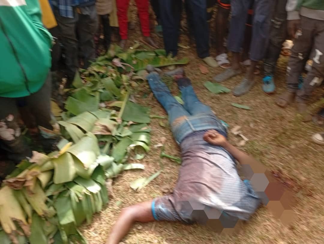 Five Fulani Youths Killed By Berom Militia In Latest Unprovoked Attack In Plateau