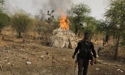 Troops Rescue 21 Kidnapped Victims, Clear Bandits’ Camps In Forest Operation In Plateau