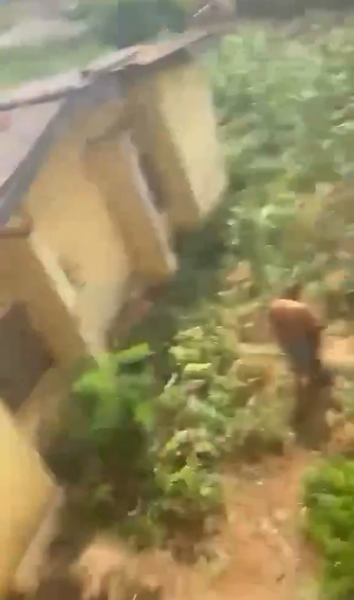 UNIZIK