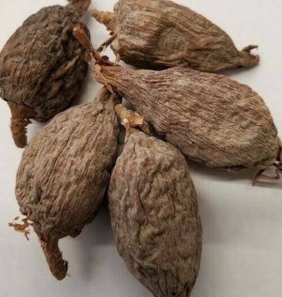 Amazing Health Benefits Of Alligator Pepper