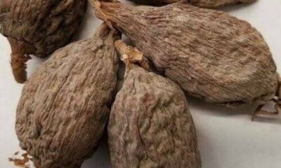 Health Benefits Of Alligator Pepper
