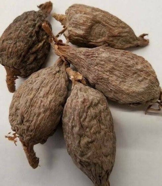 Health Benefits Of Alligator Pepper