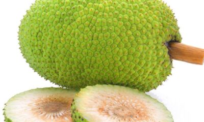 Health Benefits Of Breadfruit