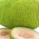 Health Benefits Of Breadfruit
