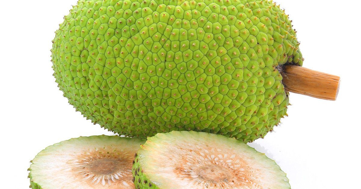 Health Benefits Of Breadfruit