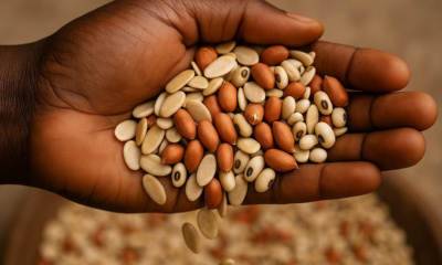 10 Nigerian Foods Rich in Copper for Better Health