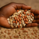 10 Nigerian Foods Rich in Copper for Better Health