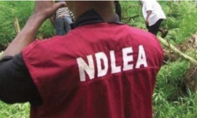Newlywed Nabbed With Cocaine at Enugu Airport