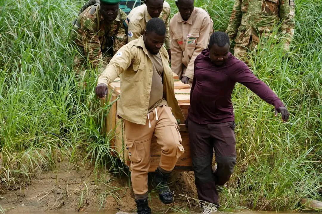 PHOTOS: Chad Releases Seba Python Into Zah Soo National Park