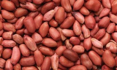 Benefits Of Groundnuts