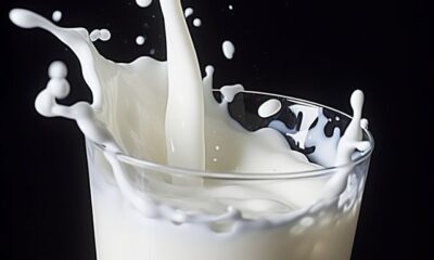 Health Benefits Of Milk