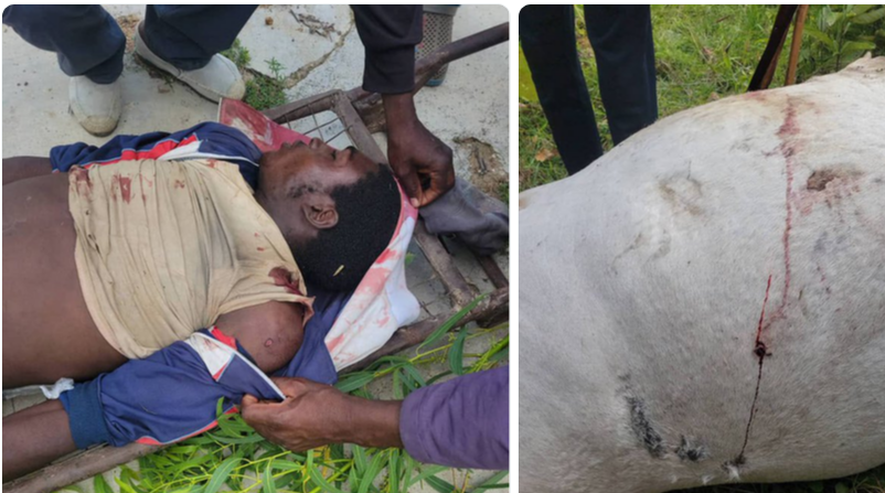 25-Year-Old Herder Killed as Criminals Attack in Plateau