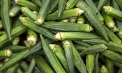 Five (5) Low-GI Nigerian Foods That May Help Manage Blood Sugar