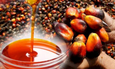 15 Vitamin A-Rich Nigerian Foods You Should Know